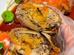 -杨氏青龙虾·羊蝎子(金盛路总店)