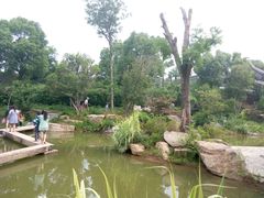 android_upload_pic-冶春茶社(太和广场店)