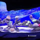 六一带娃👶必去胜地&萌宠乐园🐖