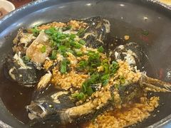 -农厨好味·温泉鹅·农家菜