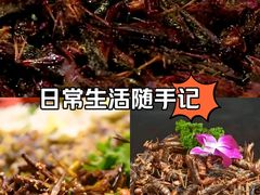 -腾阁自助餐厅(朝林广场店)