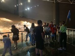 -世界恐龙谷景区