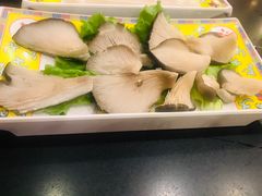 -芦月轩羊蝎子(北蜂窝店)