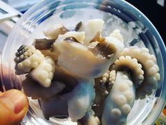 -铭聚章鱼土笋冻(松柏店)