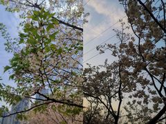 -西北湖绿化广场