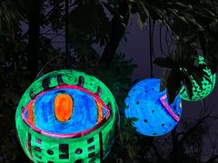 -杭州野生动物世界