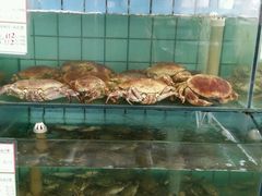 -海岛渔村大酒店(云霄路店)