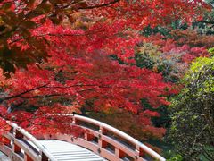 -醍醐寺