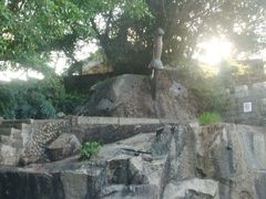 -胡里山炮台