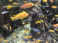 -太平洋海底世界