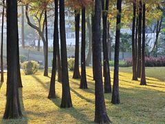 -晓港公园