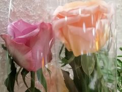 -ROIIN用心(武汉首店)