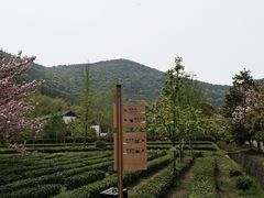 -旺山景区