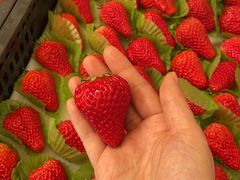 -西郊国际农产品交易中心