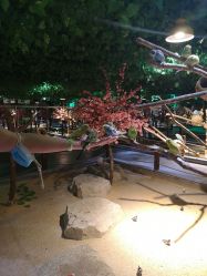 -酷嗒动物文化乐园(cutezoo西溪乐天城店)