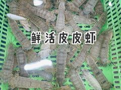 -七鲜渔港美食餐厅(巽寮湾海景店)