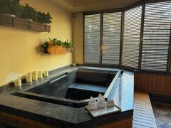 -春晖园度假酒店温泉