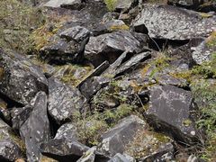 -叠溪松坪沟景区