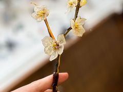 -隐工匠·银饰·烧玻璃DIY手工坊(蓝·芳华店)