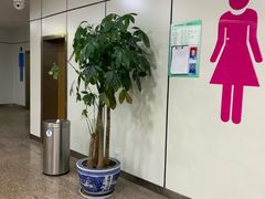 -绵阳南郊机场