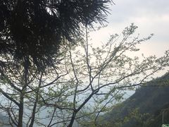 -天目山-昭明禅寺