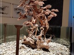 -禅一·静观堂(长寿路店)