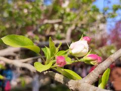 -元大都城垣遗址公园