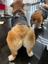 -希乐曼艺术中心·婚礼·活动·宴会厅(南山店)