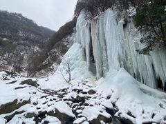 -少华山国家森林公园