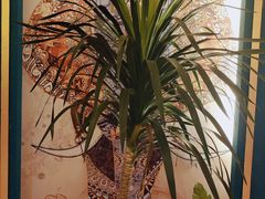 -新泰遇SPA·即派·青春颜艺(维也纳江西大厦店)