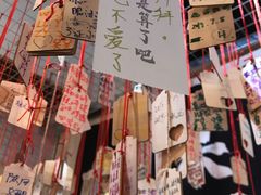 -厦门失恋博物馆(中华城店)