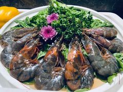 -上宴精品海鲜姿造(晶融汇旗舰店)