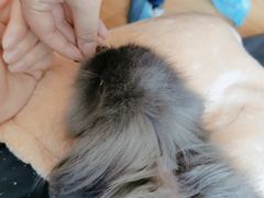 -猫猫幼稚园·撸猫·桌游·电玩
