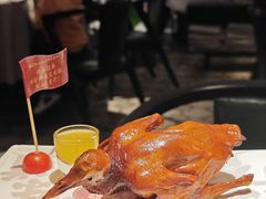 -大鸽饭(体育西路店)