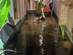 -邈墨茶馆(江南星座1店)