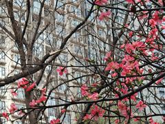 -成都市活水公园