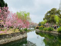 -无锡蠡湖国家湿地公园-蠡园