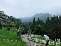 -四川省成都市彭州市白鹿镇
