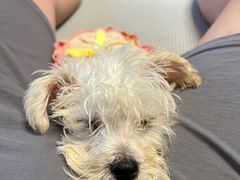 -宠瑞康动物医院