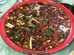 -东吴霸王兔(松青路店)