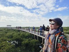 -北海金海湾红树林生态旅游区