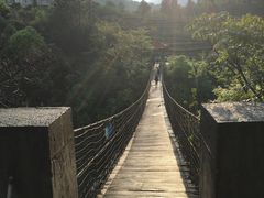 -天台国家森林公园水上茶乡九鹏溪