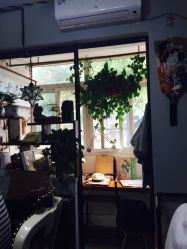 -Black Tattoo Studio