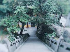 -冶父山国家森林公园