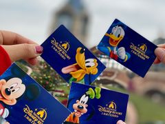 -上海迪士尼度假区