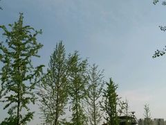 android_upload_pic-奥帕拉拉水公园