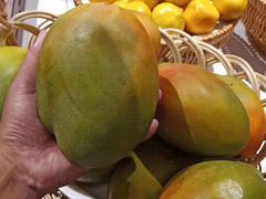 -渔公码头·九龙湾国际饭店