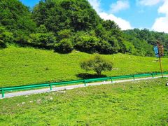 -大水川景区