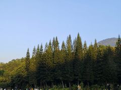 -深圳仙湖植物园