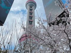 -东方明珠广播电视塔